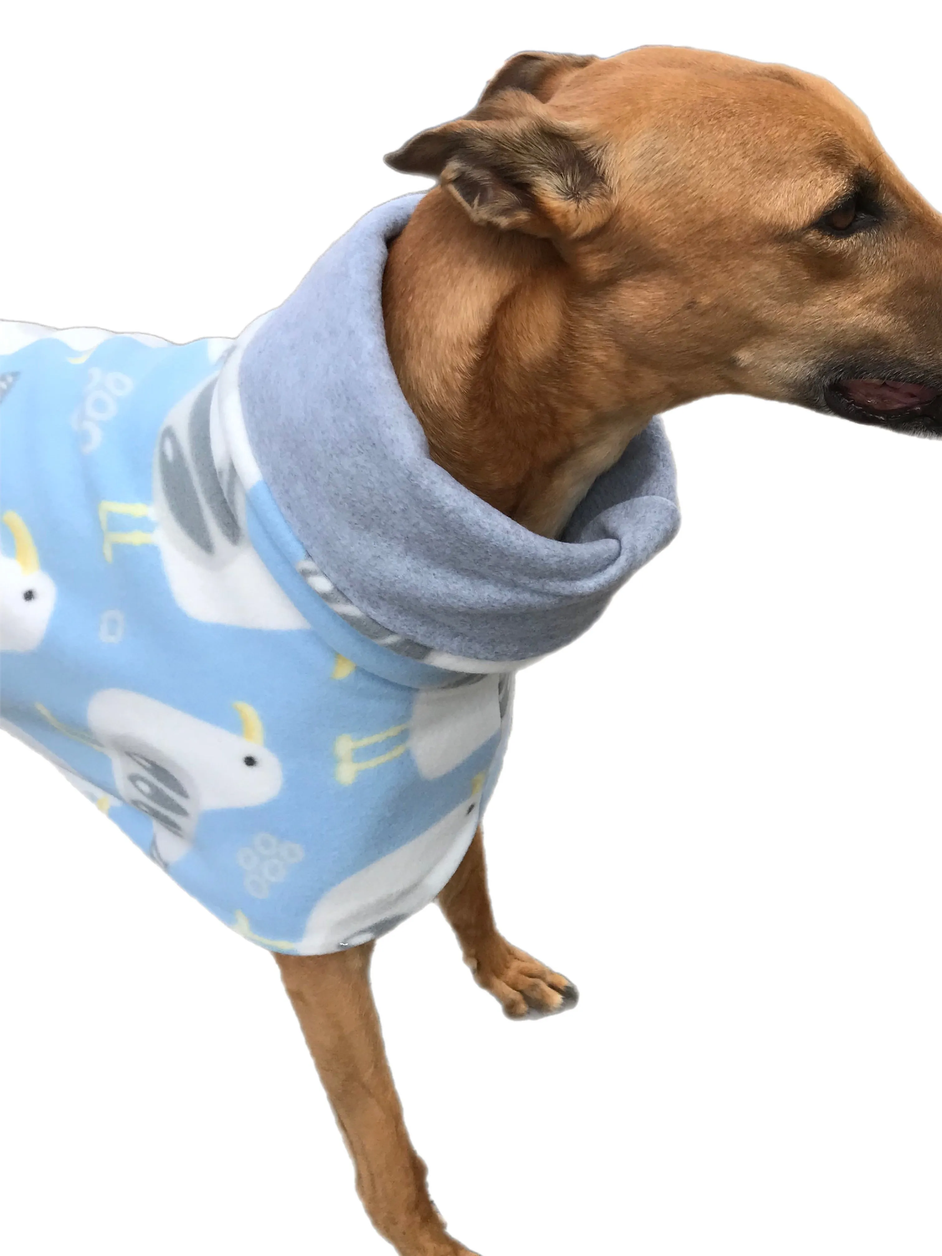 Autumn lightweight deluxe style greyhound coat with snuggly wide roll up or down neck roll
