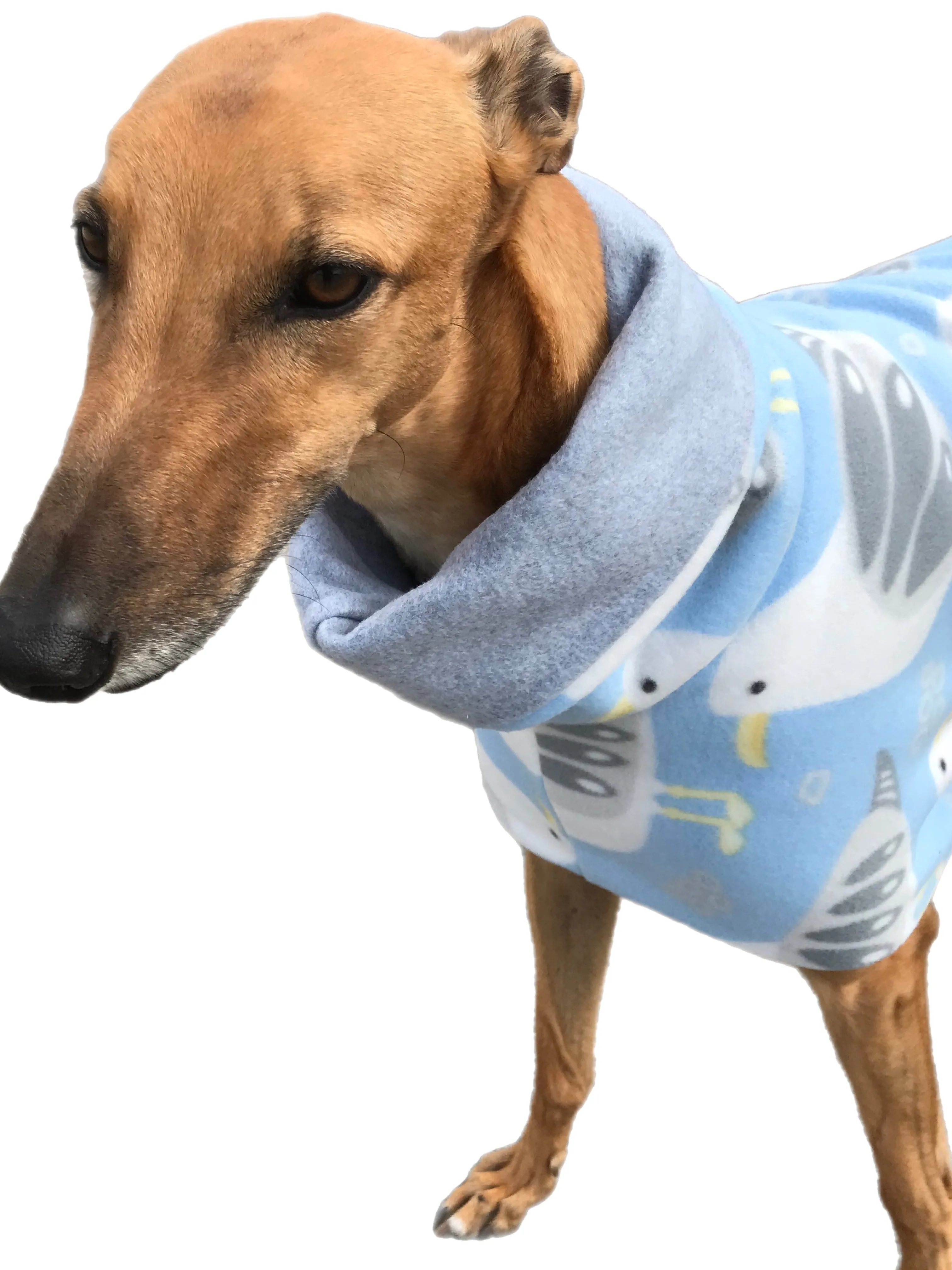 Autumn lightweight deluxe style greyhound coat with snuggly wide roll up or down neck roll