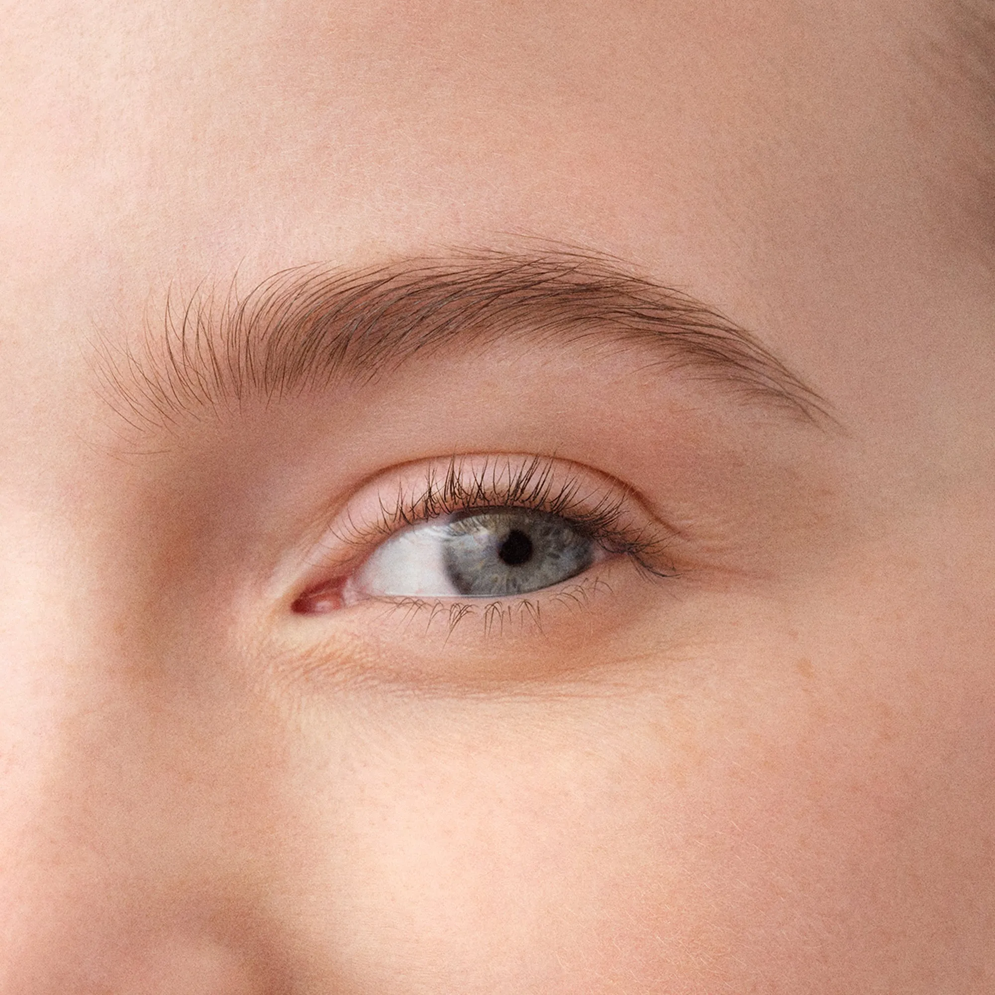 Brow Mascara Transparent