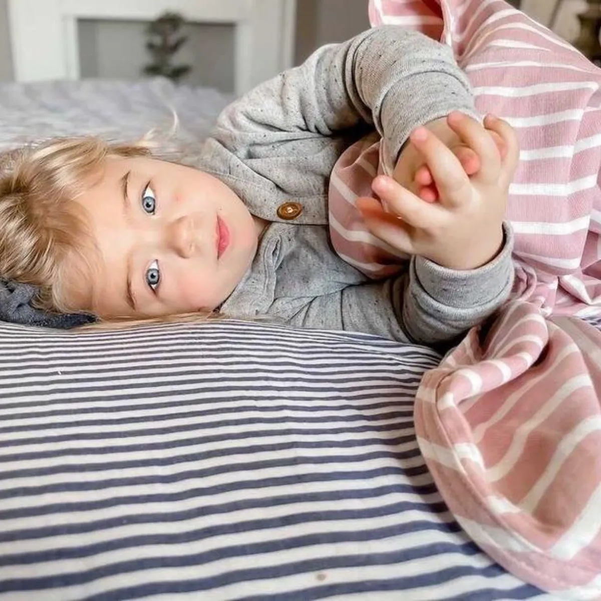 Cotton Comforter Quilt and Shams - Blue and White Pin Stripe