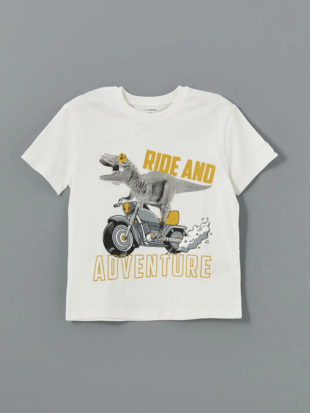 LCW Kids Black Crew Neck Printed Boy T-Shirt 2-Pack