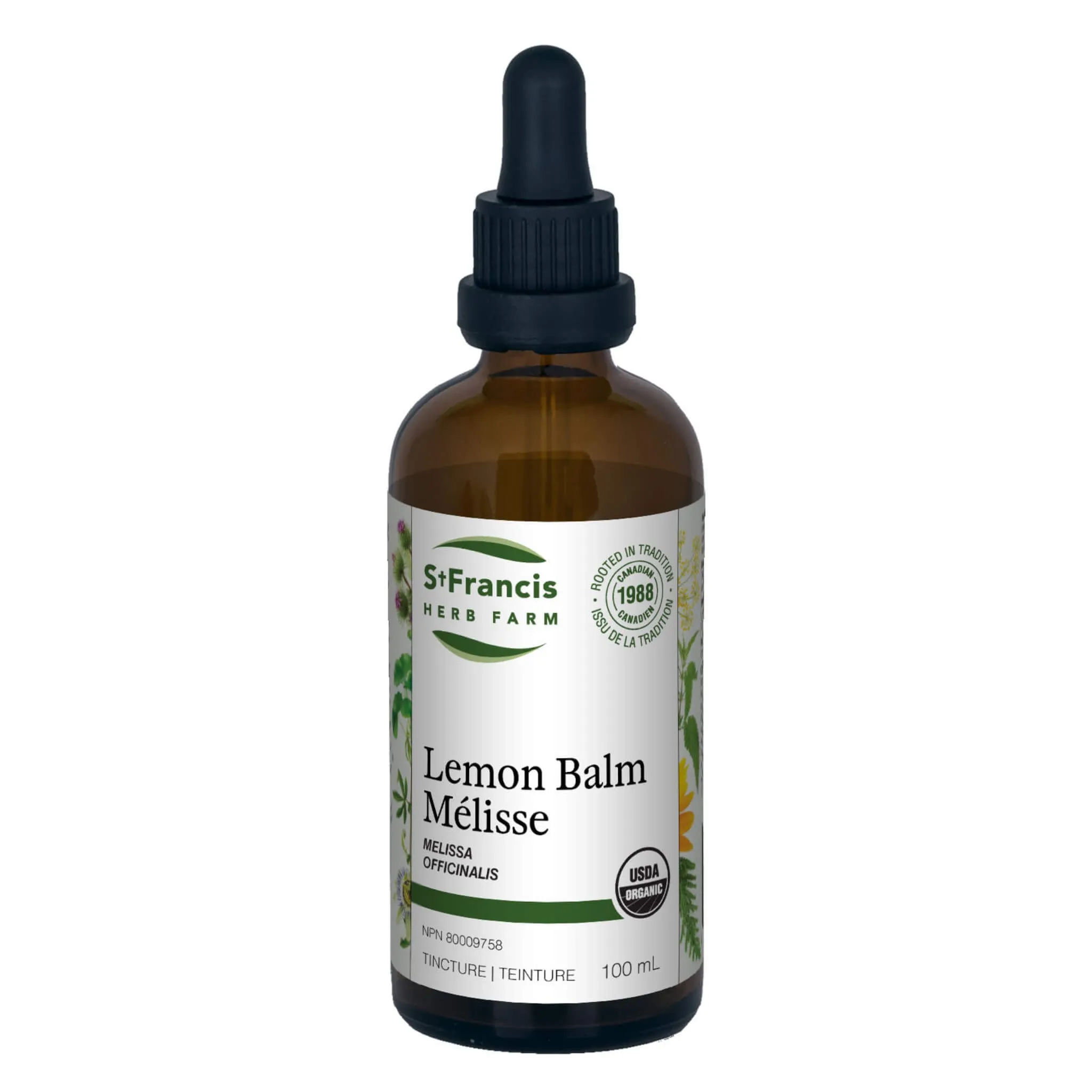 Lemon Balm - Melissa officinalis