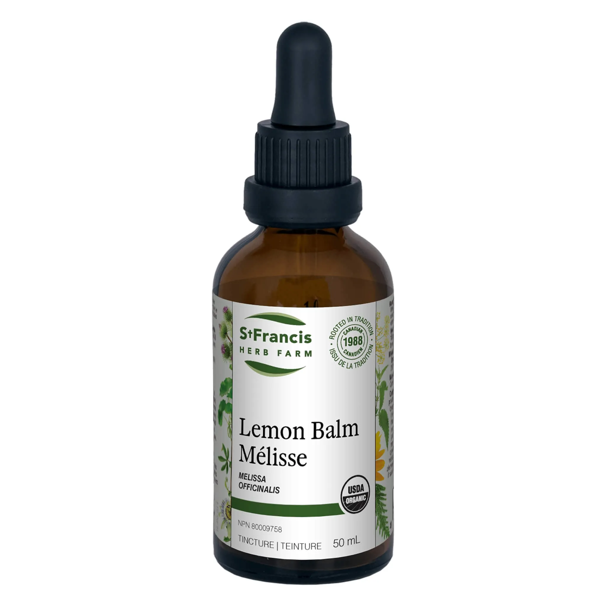 Lemon Balm - Melissa officinalis
