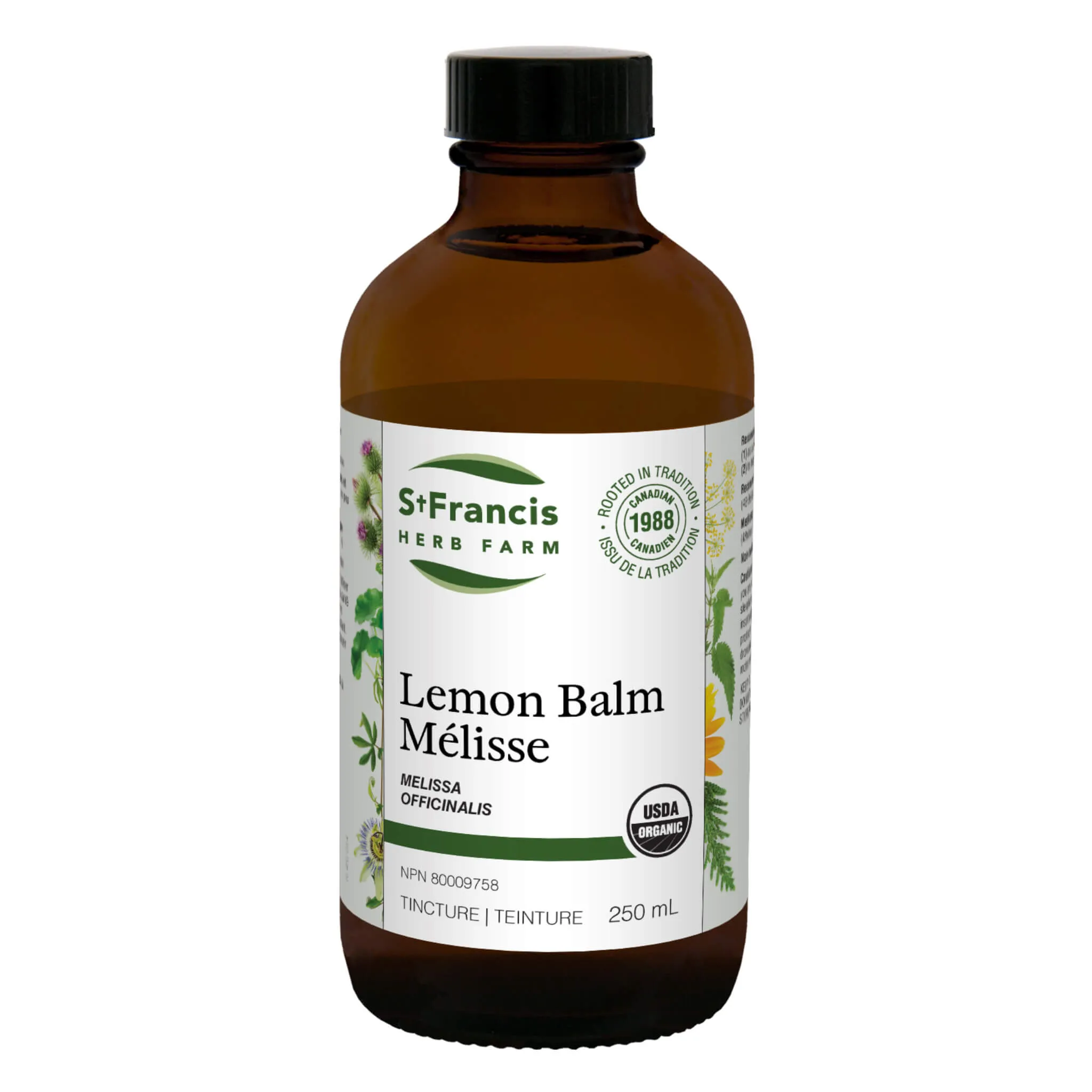 Lemon Balm - Melissa officinalis