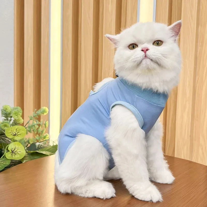 Pet Recovery Suit