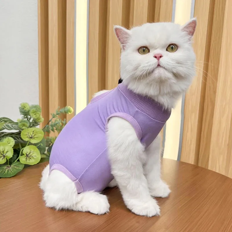Pet Recovery Suit