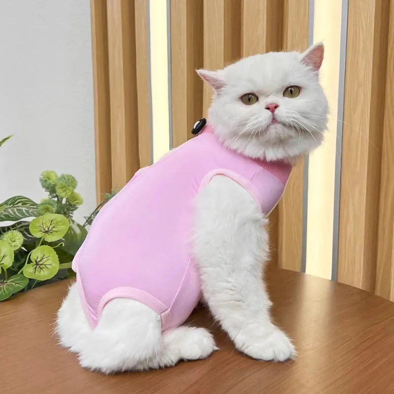 Pet Recovery Suit