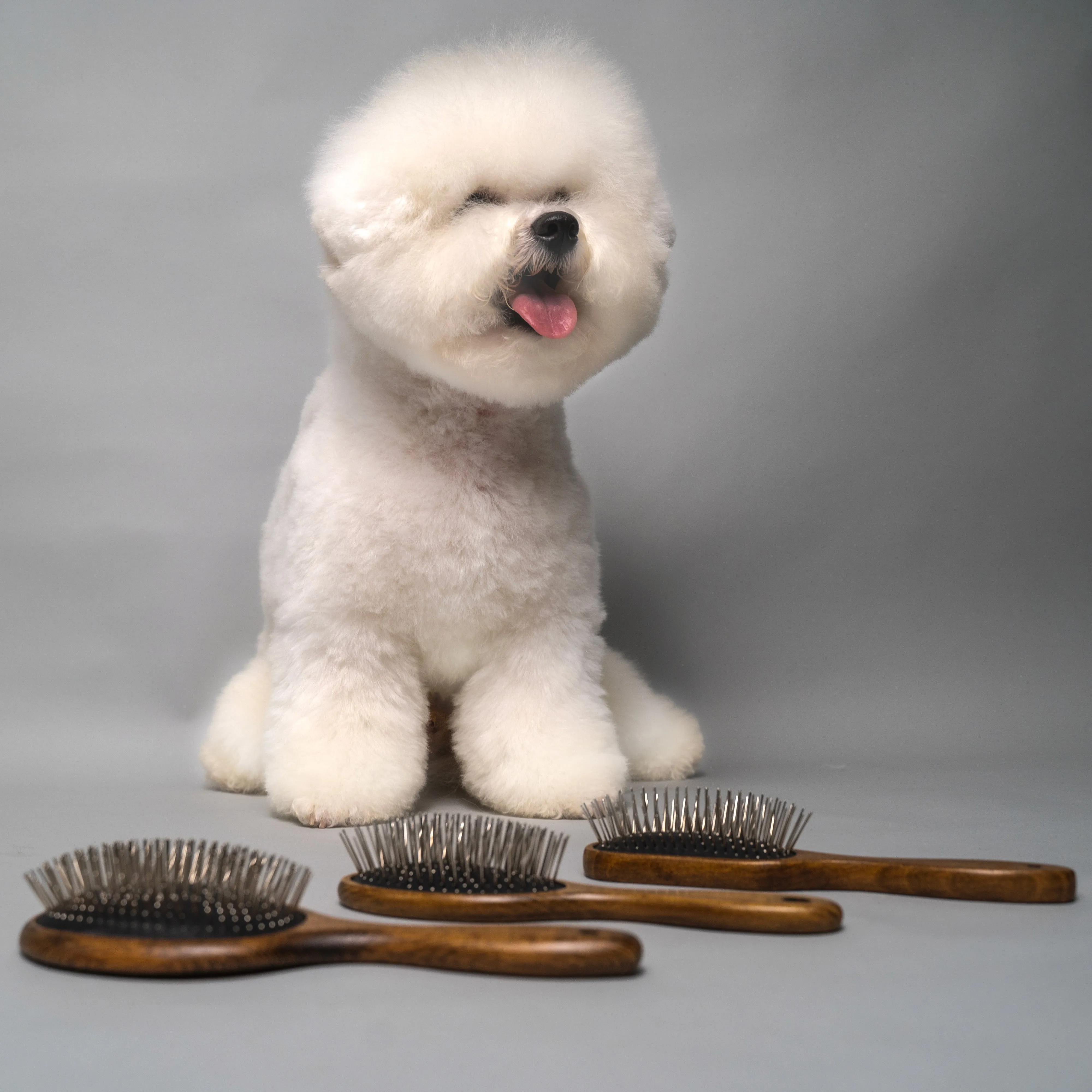 Tauro Pro Line Prestige Wooden Massage Dog & Cat Brush For All Hair Type To Improve Circulation And Promote Healthy Hair Growth