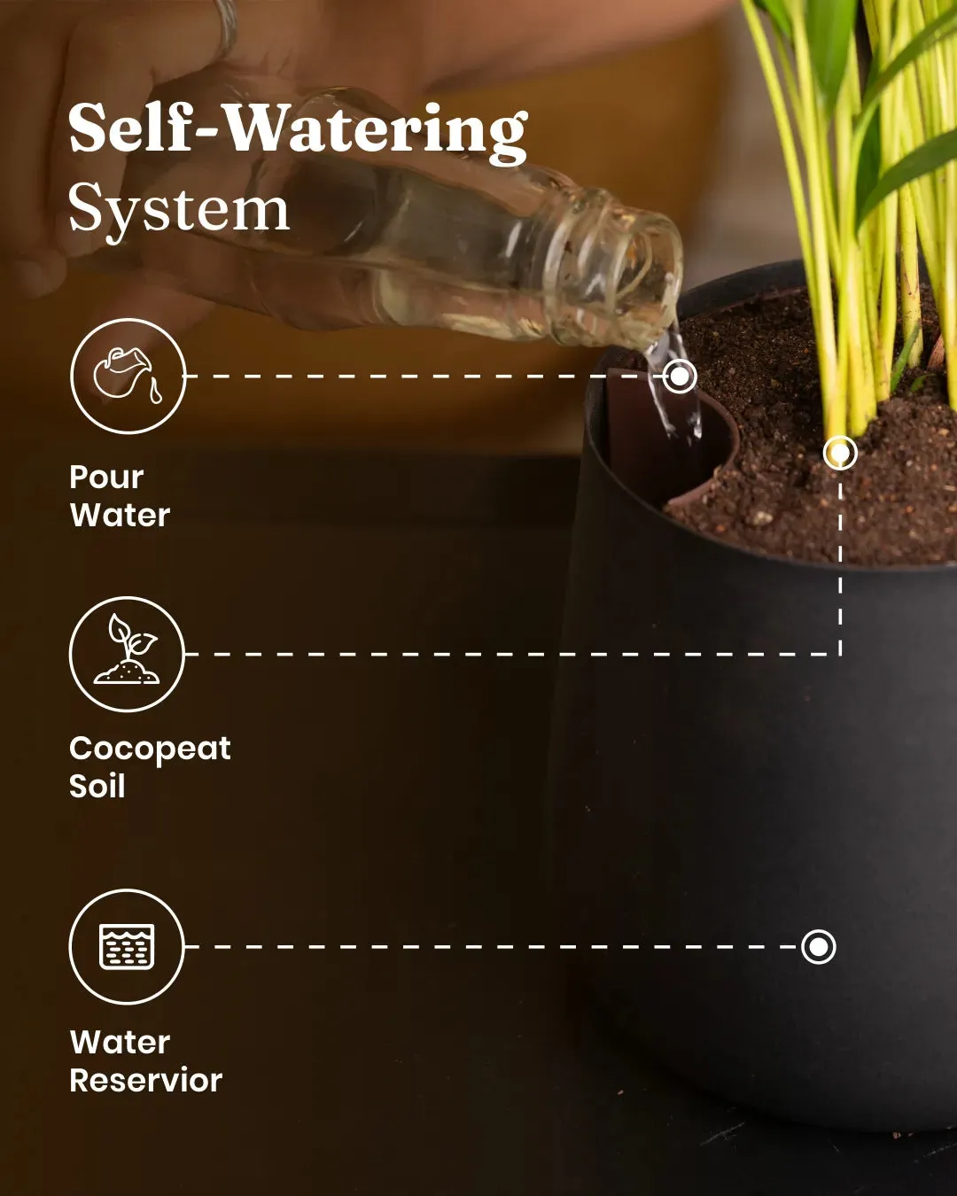 Zamia Green - ZZ Plant with Medium Metal Self Watering Pot